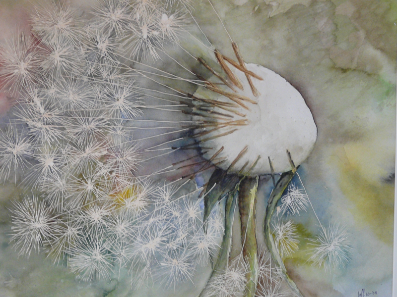 Paardenbloem